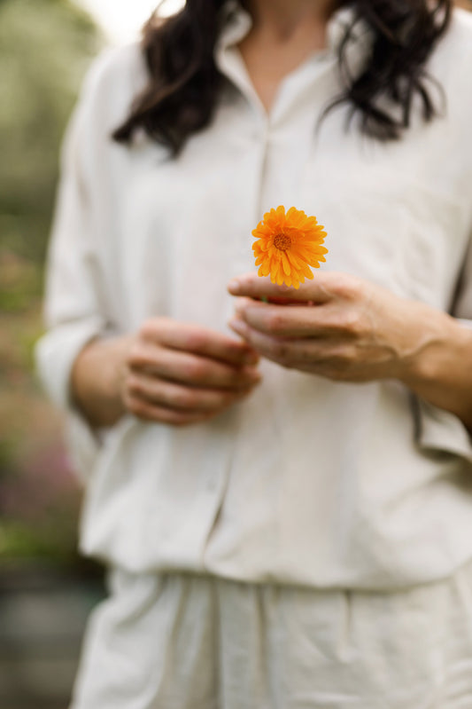 The healing power of calendula: Nature’s miracle plant