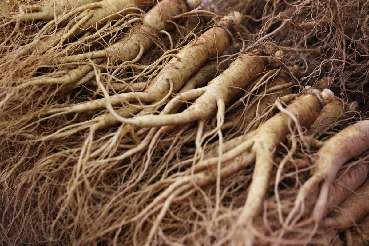 GINSENG EXTRACT (MADE IN NZ)