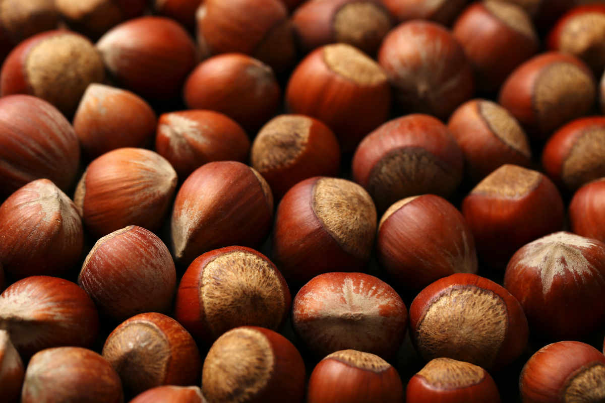 HAZELNUT OIL (NZ)