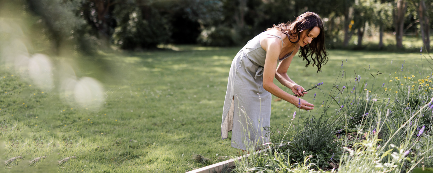 It's time to have your say Therapeutic Products Bill The Herb Farm