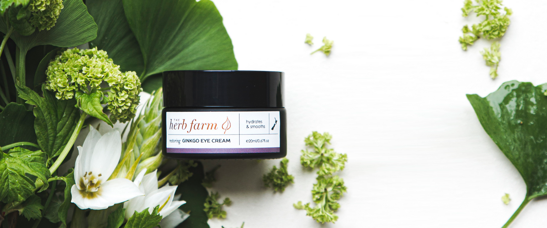 Five Big Reasons to Use Restoring Ginkgo Eye Cream