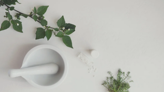 Homeopathy for Family Wellness