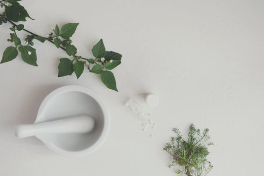 Homeopathy for Family Wellness
