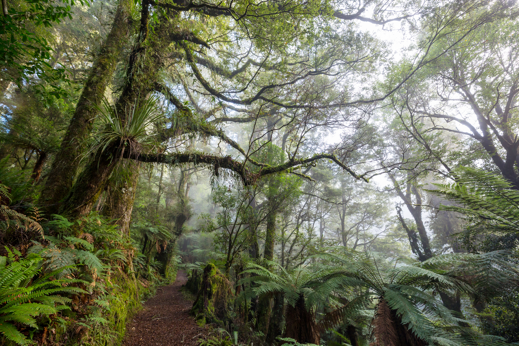 10 Simple Ways to Live More Sustainably This Earth Day