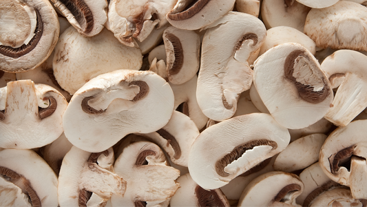How to boost your immunity with sun-exposed mushrooms