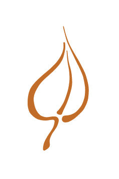 A Breakdown of the Breakout