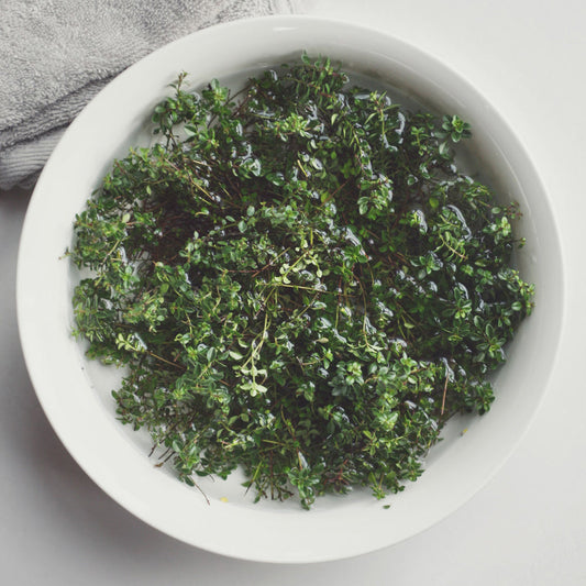 Fancy a Pharmacy in Your Garden?