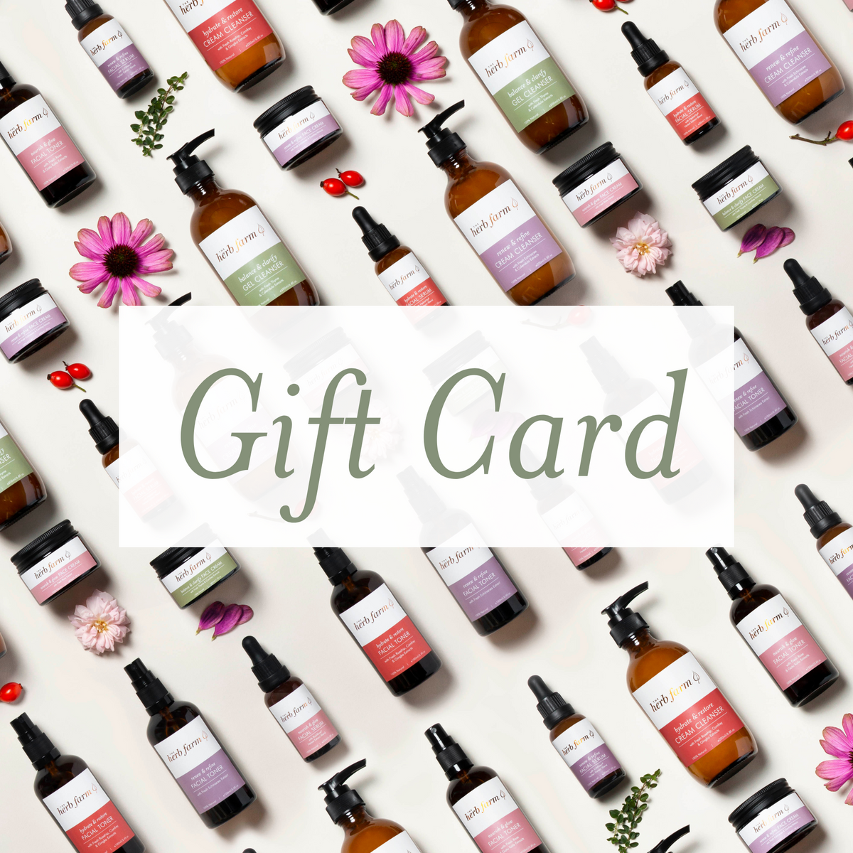 Gift Card primary