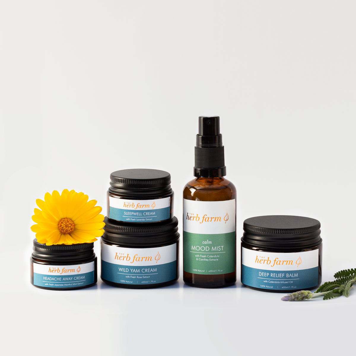 Hormone Support Bundle primary