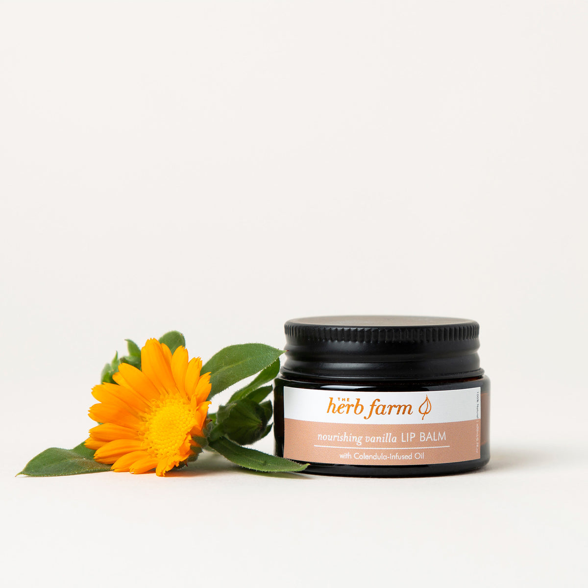 Nourishing Vanilla Lip Balm primary